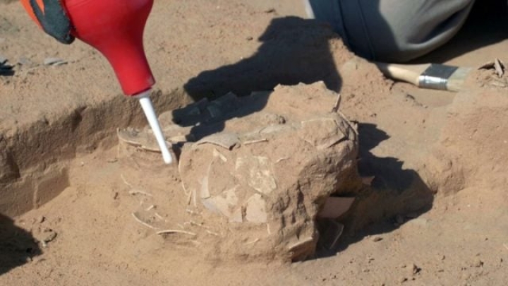Hallan huevos de avestruz de hace más de 4,000 años en el desierto de Israel