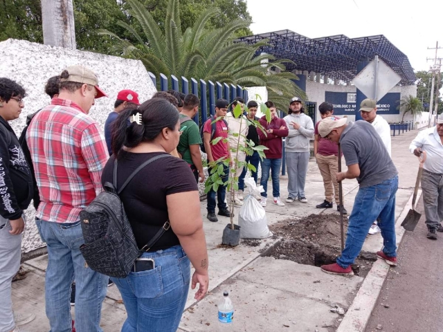 La organización ciudadana concluyó la plantación de árboles sobre la calzada del Tecnológico de Zacatepec.