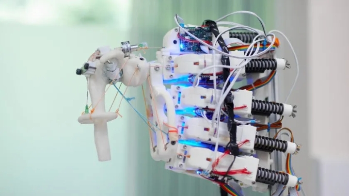 Cultivan tejidos humanos en esqueletos robóticos en movimiento