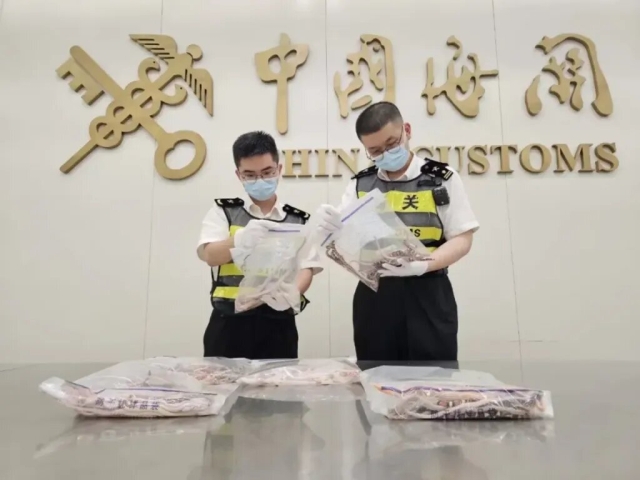 Detienen en China a hombre con más de 100 serpientes en los pantalones