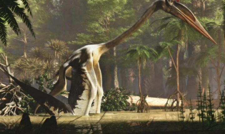 Arqueólogos hallan restos del pterosaurio jurásico más grande del mundo