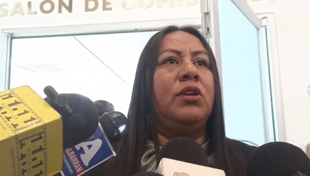 Paquete económico se aprobará a más tardar el 15 de diciembre: diputada Jazmín Solano