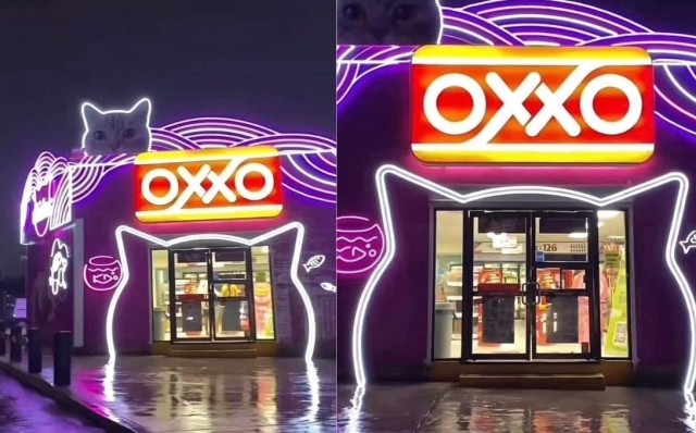Explorando el Michi-Oxxo en Querétaro: La tienda que conquistó TikTok
