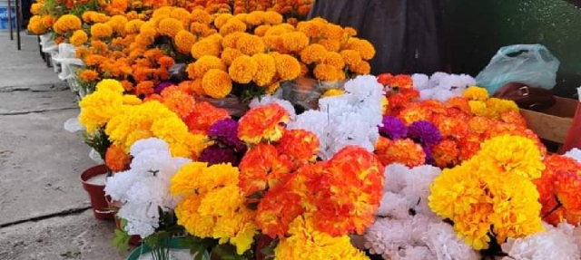 Crece la venta de flor artificial para Día de Muertos en la zona sur