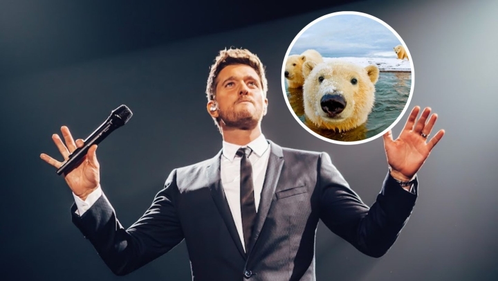 Casi termina en tragedia: Michael Bublé cuenta su experiencia con Osos Polares en Canadá