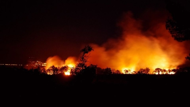 Incendio arrasa con el 95% del Parque Natural de Reservas de Vicuña y hiere a los animales