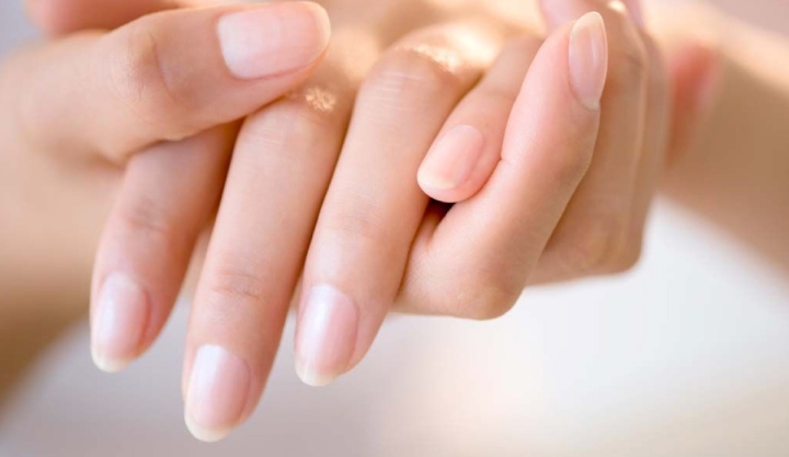 Romero, moringa y cola de caballo: plantas aliadas para fortalecer las uñas