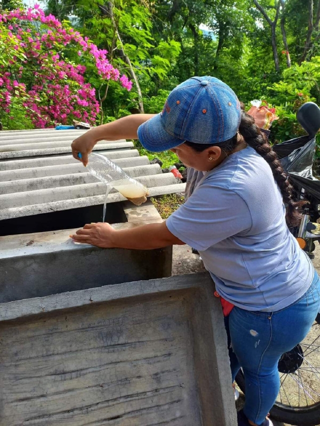 La colocación de abate en depósitos de agua evita la aparición de nuevos criaderos del mosco transmisor.