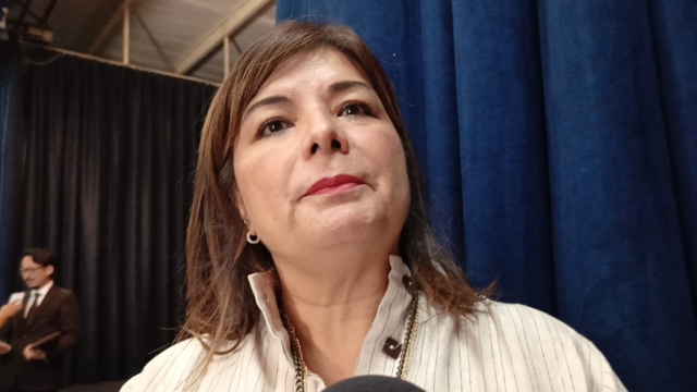 Llama diputada federal Meggie Salgado a la reflexión en el tema de contingencias ambientales