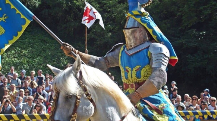 Los caballos de batalla en la Edad Media eran más chicos que los ponis