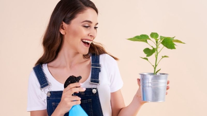 Cómo hacer un insecticida natural con aceite para tu huerto en casa
