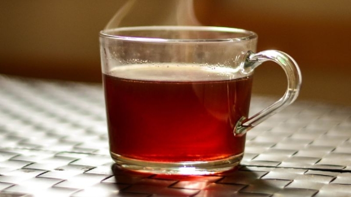 ¿Tienes tos? Prepárate un té de orégano con miel y te sentirás mejor