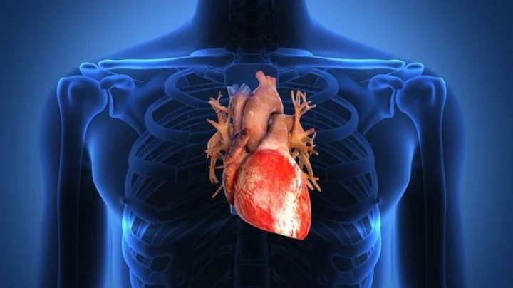 ¿Es verdad que nuestro corazón deja de latir al estornudar?