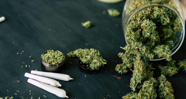 Suprema Corte avala la legalización del uso lúdico de la marihuana.