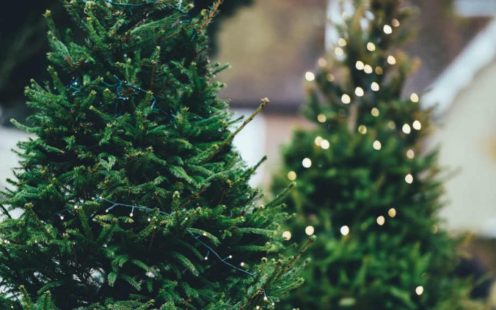 Árbol de Navidad natural o artificial: ¿Cuál contamina menos y por qué?