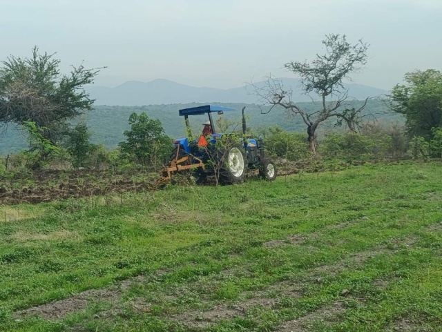 Capacitarán a productores de Mazatepec sobre fertilización en gramíneas