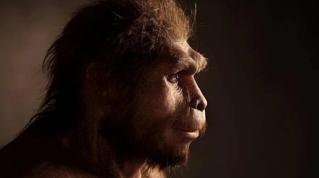 Descubren que los humanos vivieron en selvas africanas hace 150.000 años