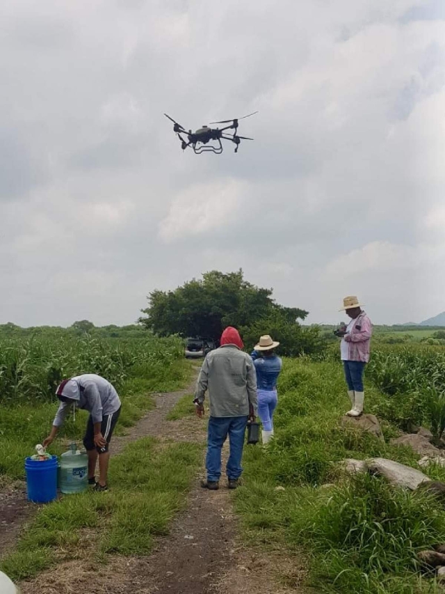 Además de fumigaciones rápidas y efectivas, el uso de drones permite no exponer la salud de los campesinos con el uso de agroquímicos.