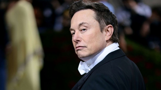 Elon Musk ahora es &quot;Kekius Maximus&quot; en X. Guiño, guiño a la ultra derecha