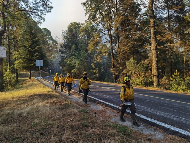 Informa SDS sobre trabajos de contención de incendio forestal en paraje en Huitzilac