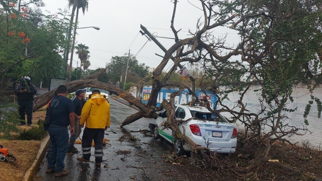 Afectaciones tras vientos y lluvias registradas en Morelos