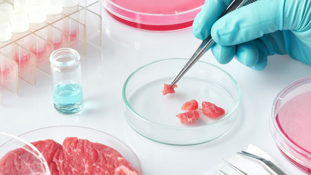 Carne cultivada en biorreactores: la nueva forma de producir carne, lejos del sacrificio animal y del detrimento ambiental