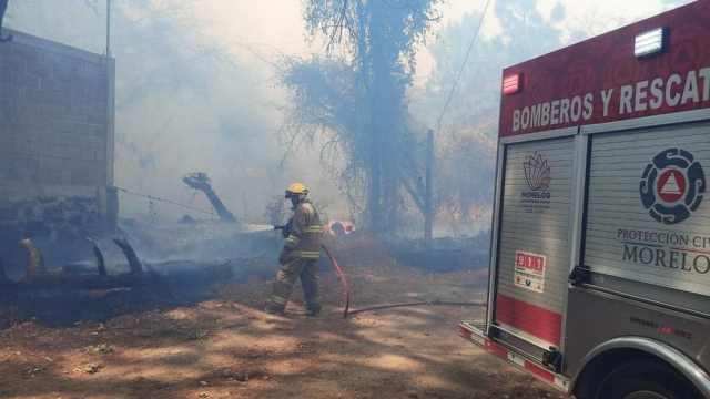 Permanece activo incendio forestal en la colonia del Bosque en Cuernavaca
