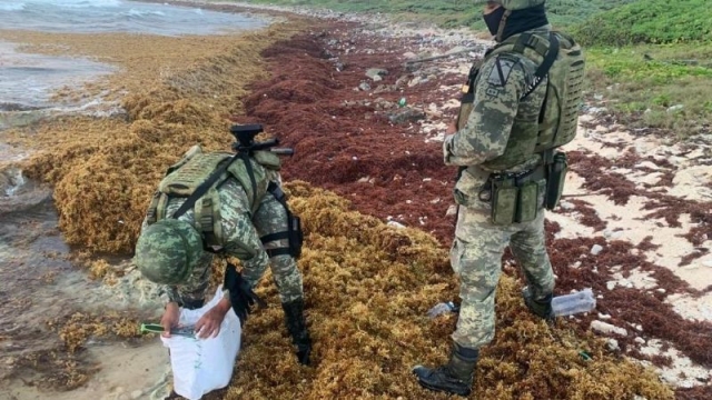 Militares descubren 20 kilos de cocaína entre el sargazo de una playa en Quintana Roo