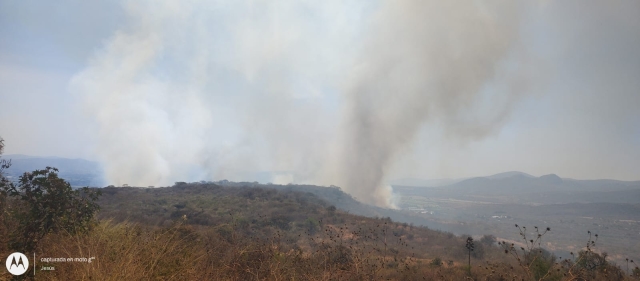 Liquidado, incendio forestal en el paraje &#039;Quinta piedra&#039; de Tepoztlán