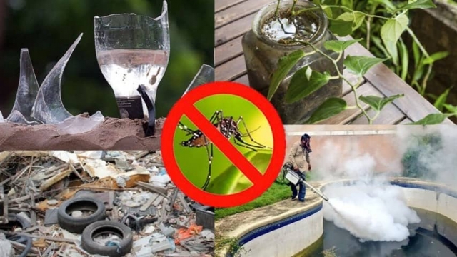 Solicita SSM eliminar criaderos de mosquitos para prevenir dengue, zika y chikungunya