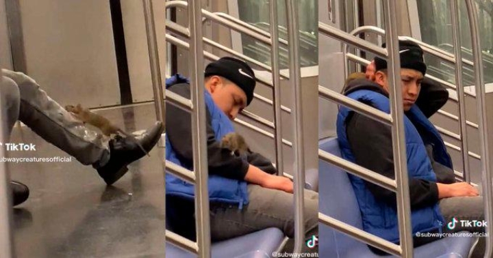 Se queda dormido en el metro de Nueva York y una rata camina sobre su cuerpo
