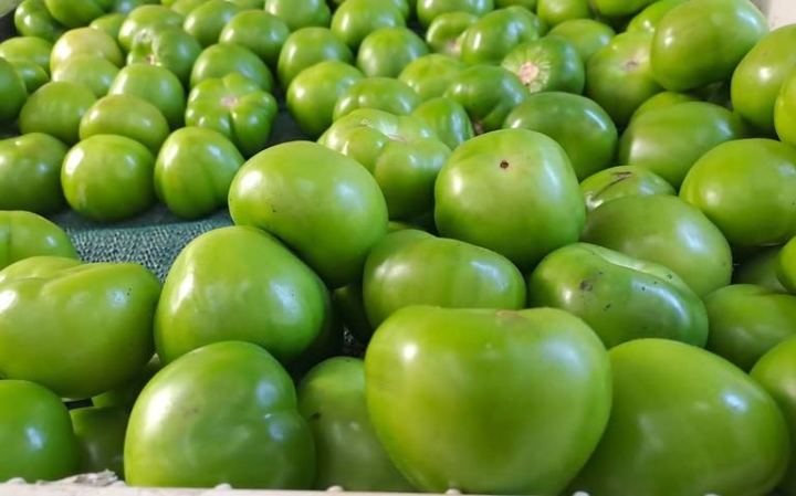 Prevenir el cáncer y aliviar la tos: así te ayuda comer tomate verde