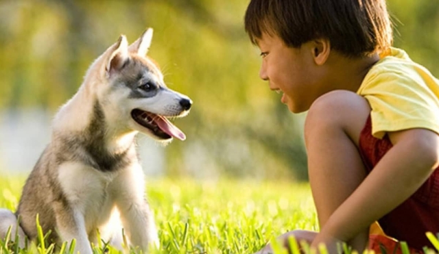 Inculcarán en niños sensibilidad para el cuidado de animales
