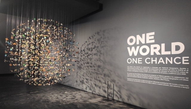 &quot;One World, One Chance&quot;: Una experiencia inmersiva sobre la naturaleza