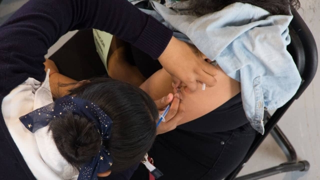 Se rompió récord de vacunación en México.