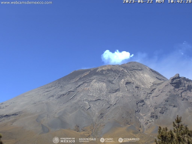 Registran 66 exhalaciones del Popocatépetl; Cenacom reportó ligera caída de ceniza en Hueyapan