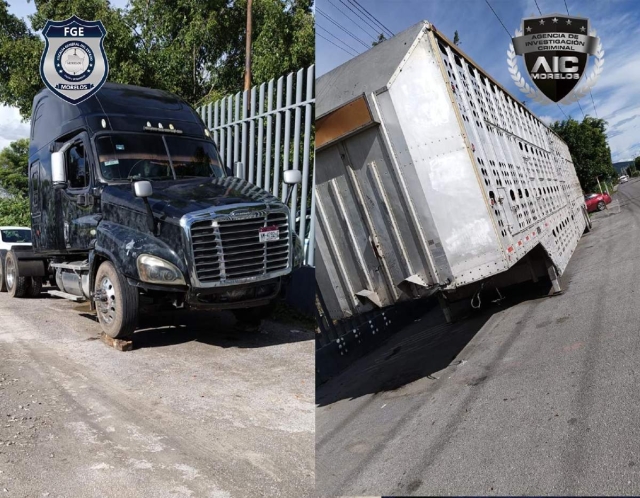 El tráiler en el que presuntamente los ahora vinculados transportaban el ganado.