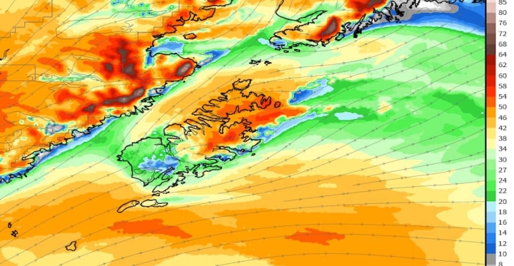 Alaska se pone ¿Tropical? Rompe récords de calor y caen inesperadas lluvias