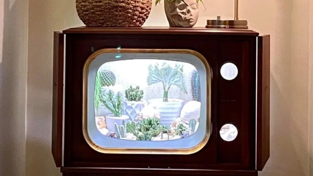 Ella convirtió su vieja televisión en un hermoso terrario retro: ¿Cómo hacer el tuyo?