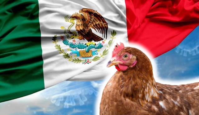 OMS aclara que muerte en México no fue causada por gripe aviar