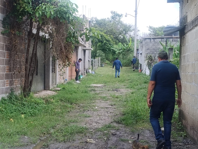 Realizan termonebulizaciones en colonia Las Ánimas, para combatir dengue en Temixco