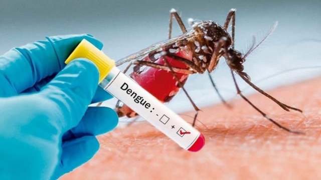 La OMS recomienda la primera vacuna contra el dengue