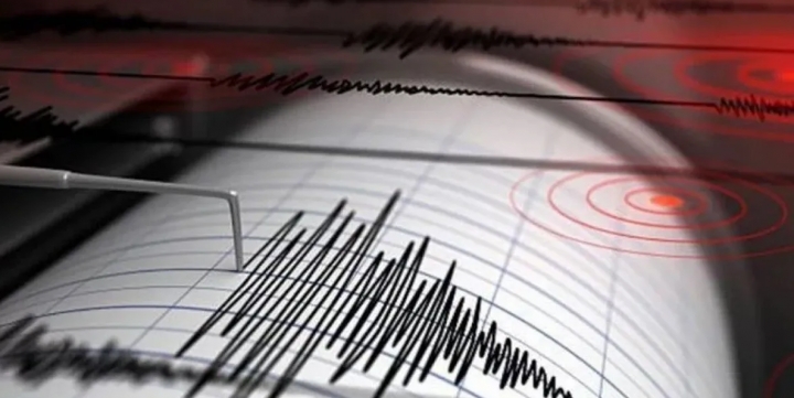 El simulador de terremotos al aire libre más grande del mundo  se somete a una importante actualización