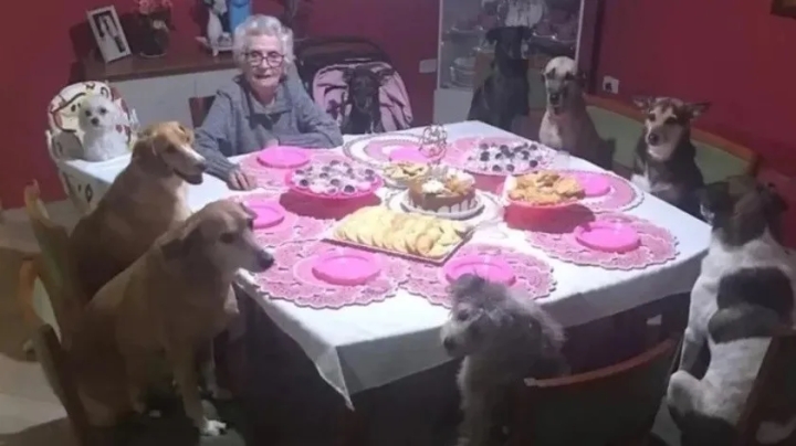 Abuelita celebra su fiesta de cumpleaños junto a sus 10 perritos