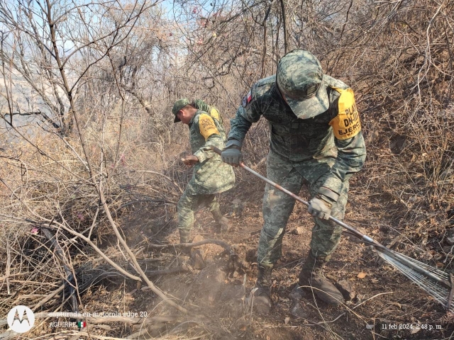 Trabajo conjunto con personal militar para mitigar incendio forestal en cerro &#039;El Jumil&#039;