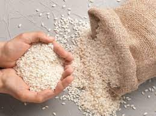 Aprovecha el poder del arroz para atraer abundancia y prosperidad en el 2024