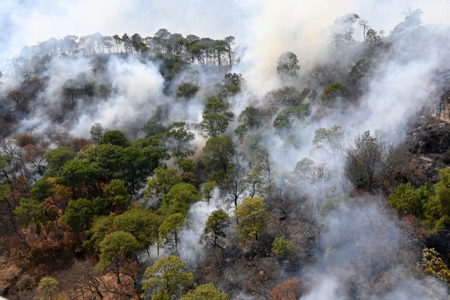 50% de control y 20% de liquidación en incendio forestal en Tepoztlán