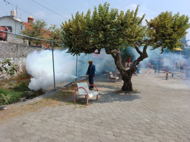 Implementa Gobierno de Jiutepec campaña de fumigación contra mosco transmisor de dengue