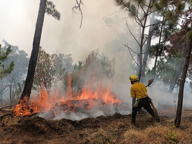 Activos, cinco incendios forestales en Morelos; en Cuernavaca, Tepoztlán y Huitzilac