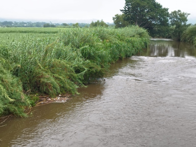 Mantiene río Apatlaco niveles normales en Zacatepec y Jojutla